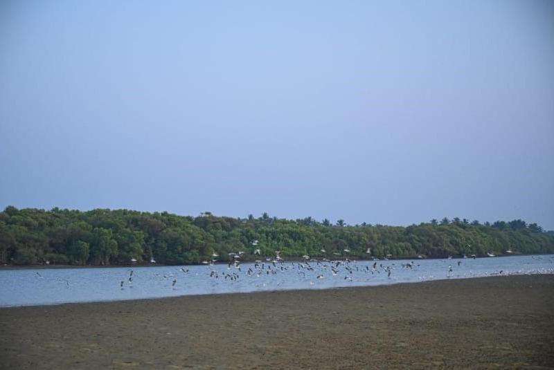 Reunion Ocean Tides Hotel Udupi Bagian luar foto